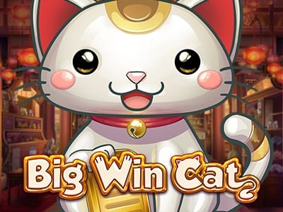 Big Win Cat screenshot